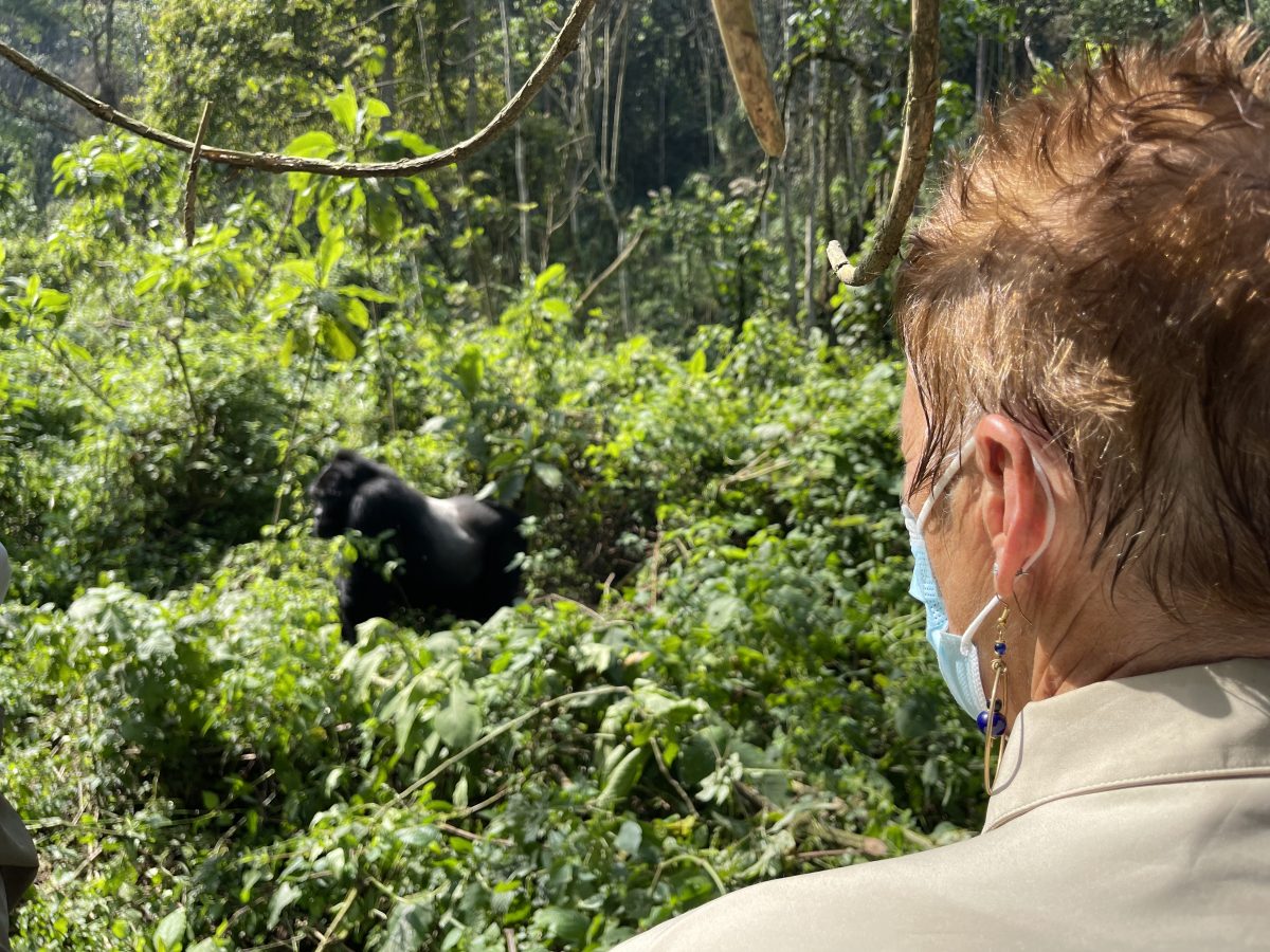 Gorilla Safaris Honeymoon: Romantic Packages for Couples in 2026