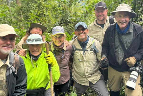 Gorilla Safaris October