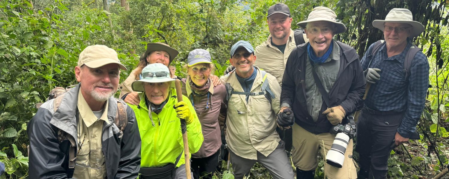 Gorilla Safaris October