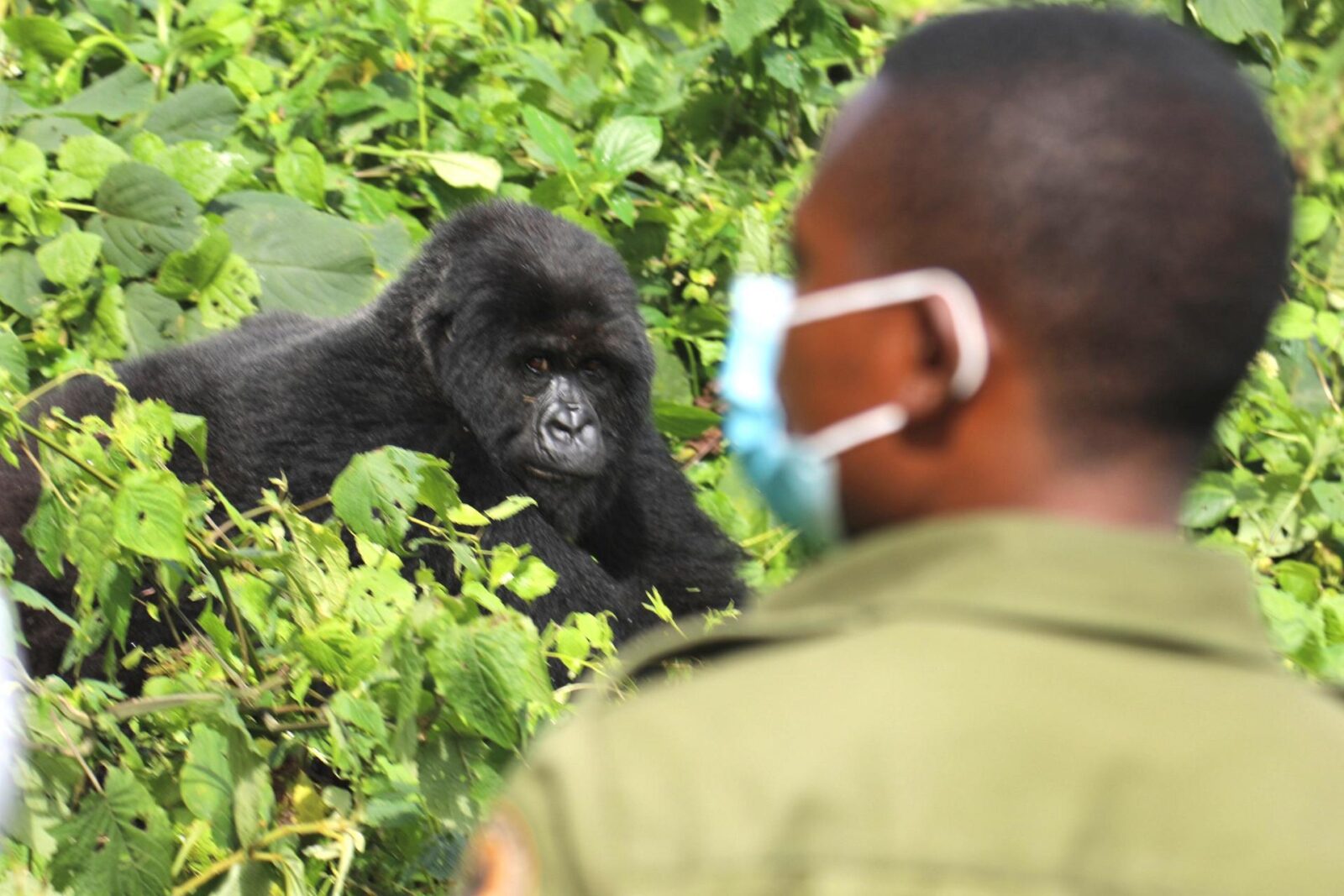 Bakiga Lodge, Ruhija