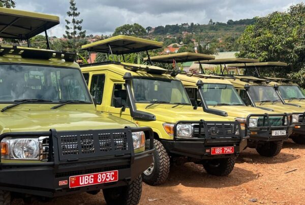 tour operator vehicle