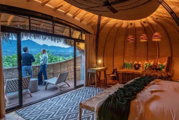 Best Gorilla Safari Lodges Rwanda 2026