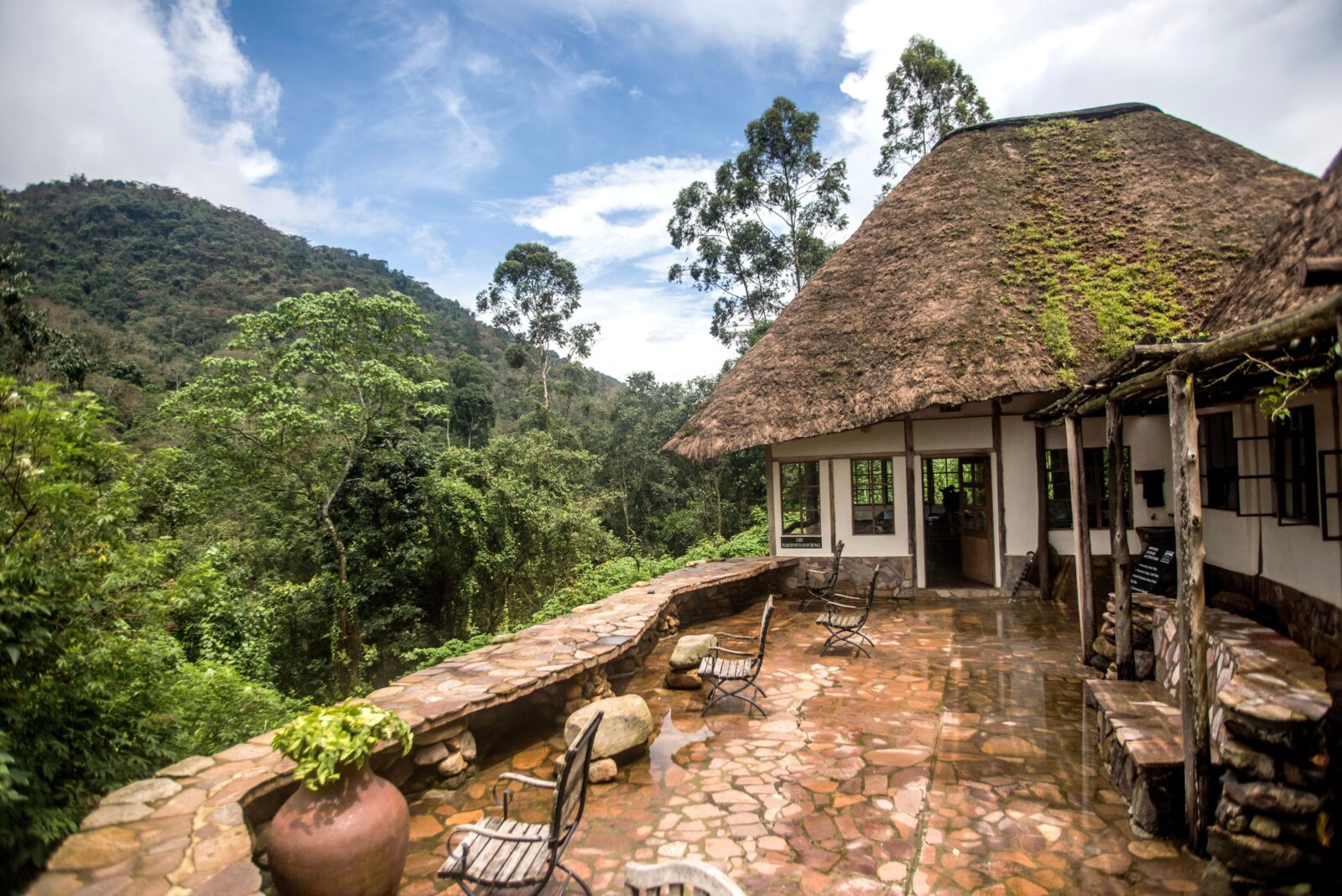 Budget Gorilla Safari Accommodation Bwindi