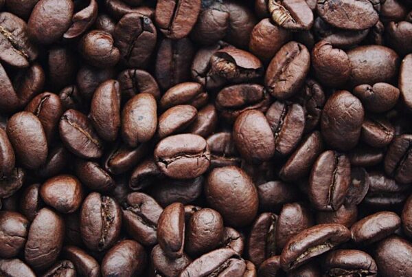 Gorilla Safari and Coffee Tour