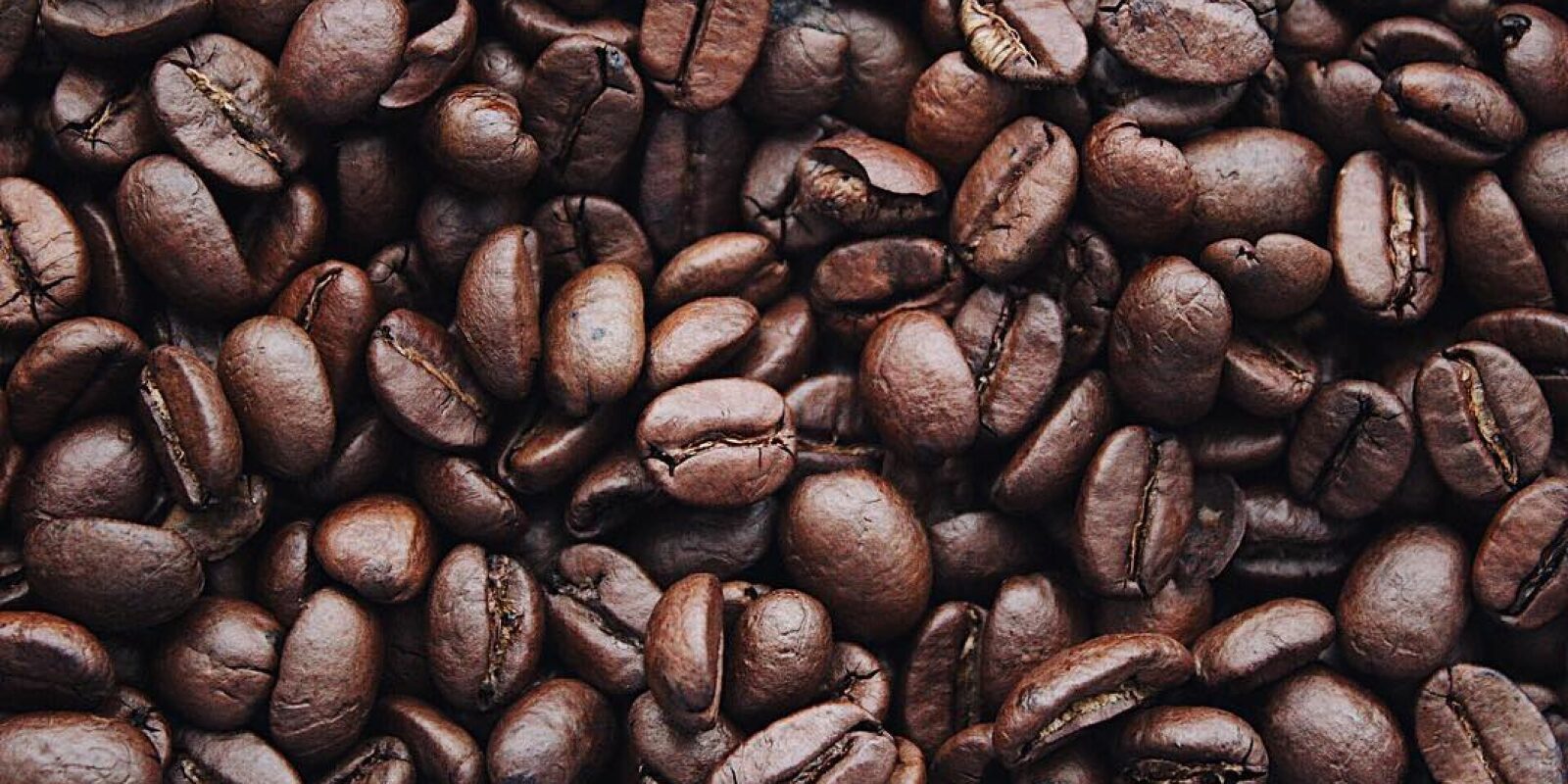 Gorilla Safari and Coffee Tour