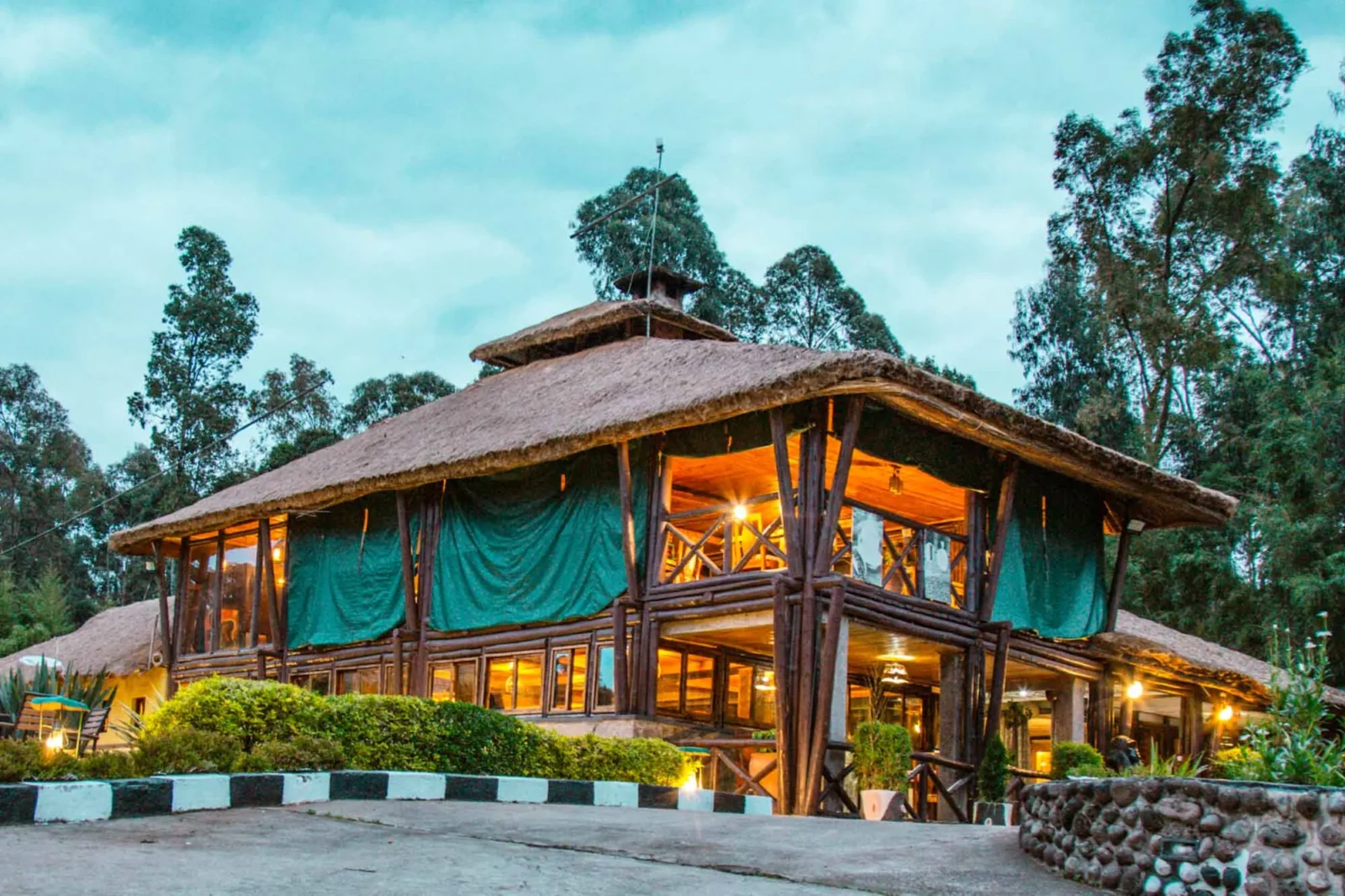 Family-Friendly Gorilla Safari Lodges