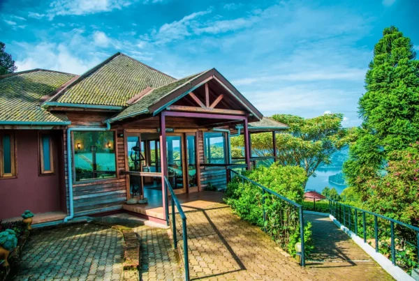 Family-Friendly Gorilla Safari Lodges