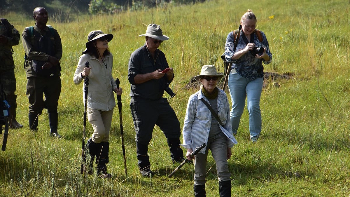 Gorilla Safari Clothing Guide