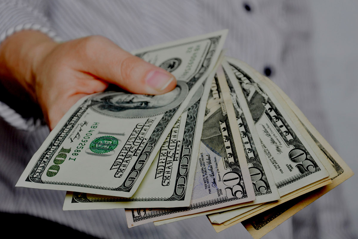 Gorilla Safari Currency