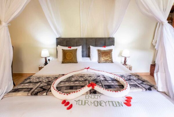 Gorilla Safari Honeymoon Lodges