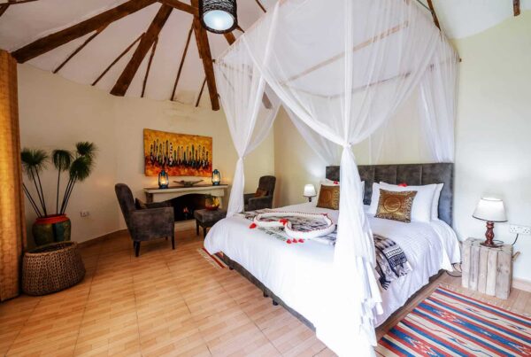 Gorilla Safari Lodge Check-In