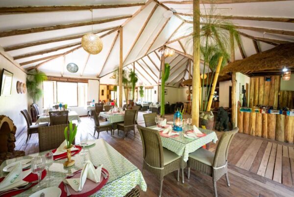 Gorilla Safari Lodge Food