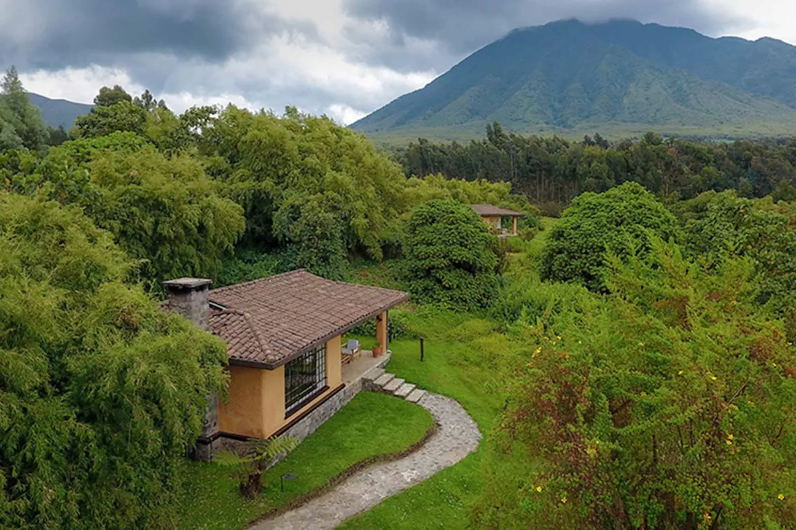 Gorilla Safari Lodges Volcanoes National Park Rwanda