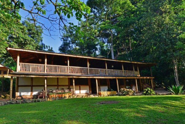 Gorilla Safari Lodges in Buhoma Sector