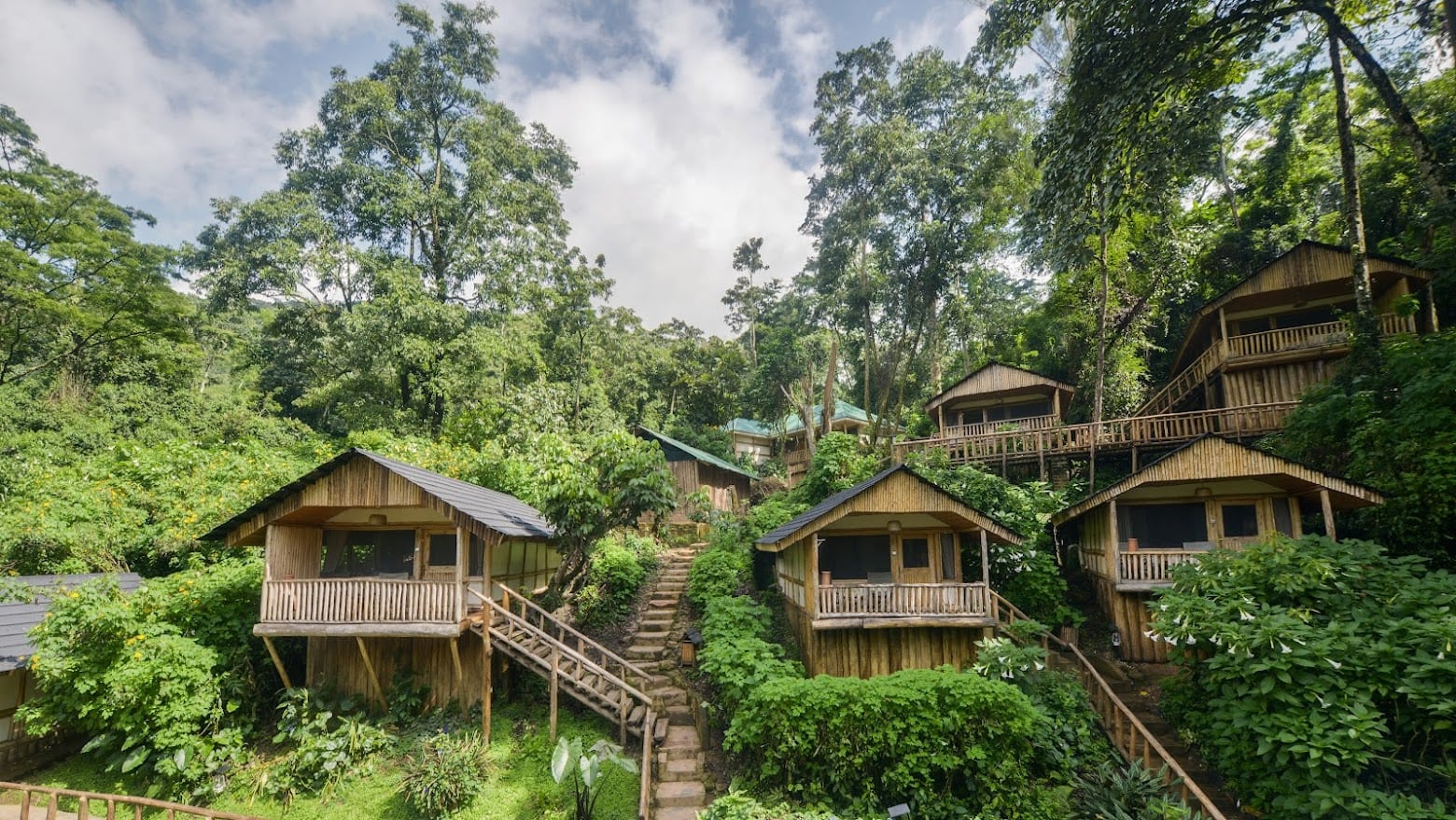 Gorilla Safari Lodges in Buhoma Sector