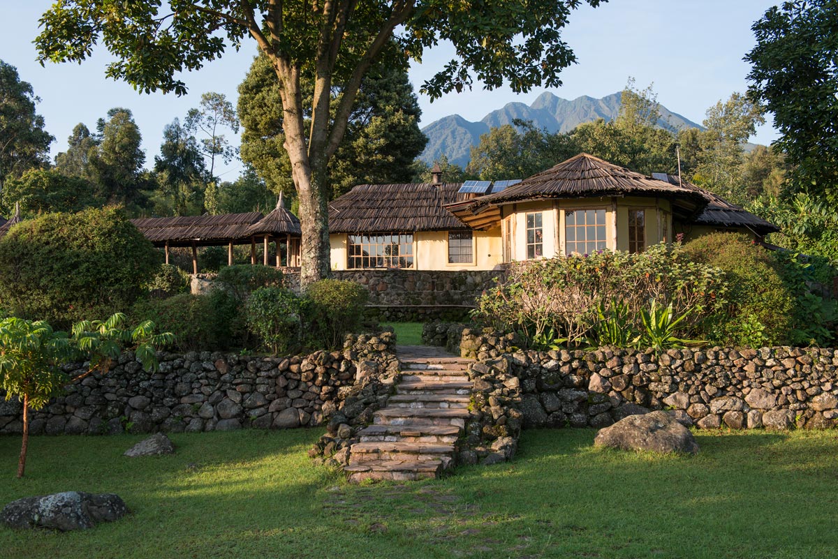 Gorilla Safari Lodges in Mgahinga Sector