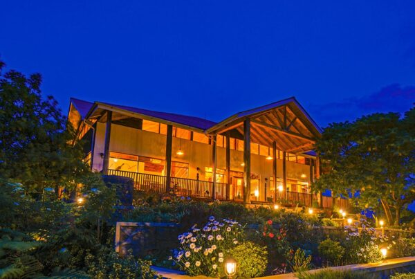 Gorilla Safari Lodges in Nkuringo Sector