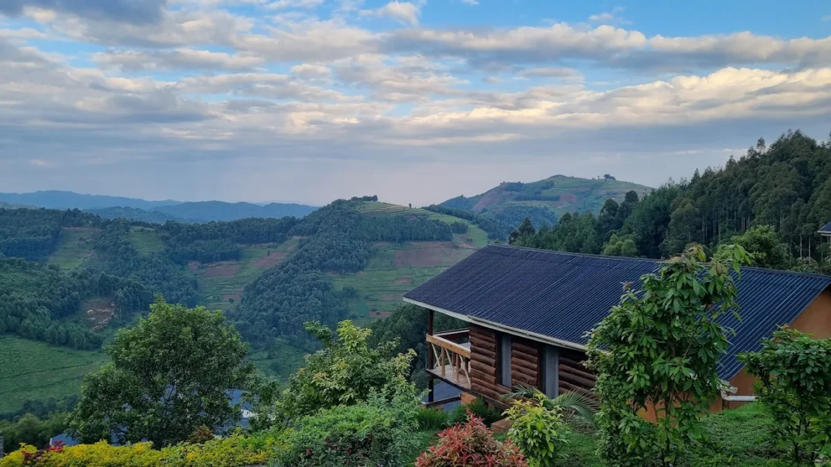 Gorilla Safari Lodges in Ruhija Sector