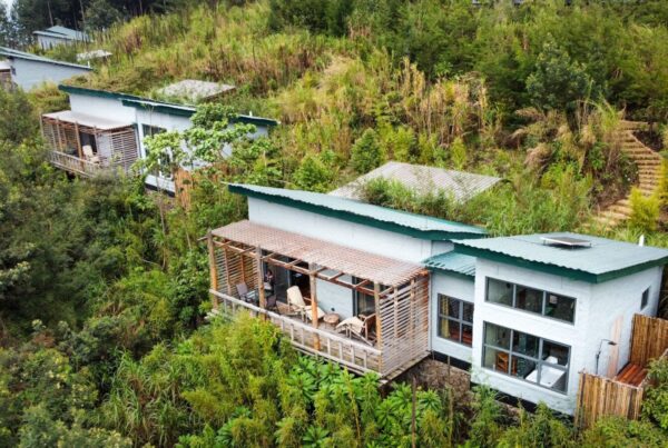 Gorilla Safari Lodges in Ruhija Sector