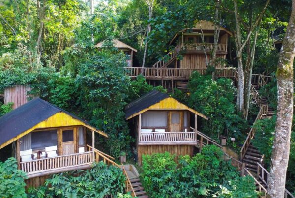 Gorilla Safari Lodges in Rushaga Sector