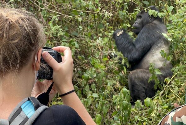 Gorilla Safari Rules Briefing