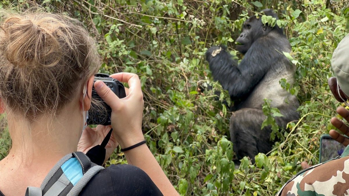 Gorilla Safari Rules Briefing