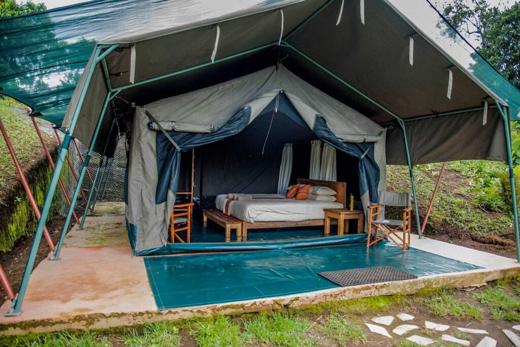 Gorilla Safari Tented Camps