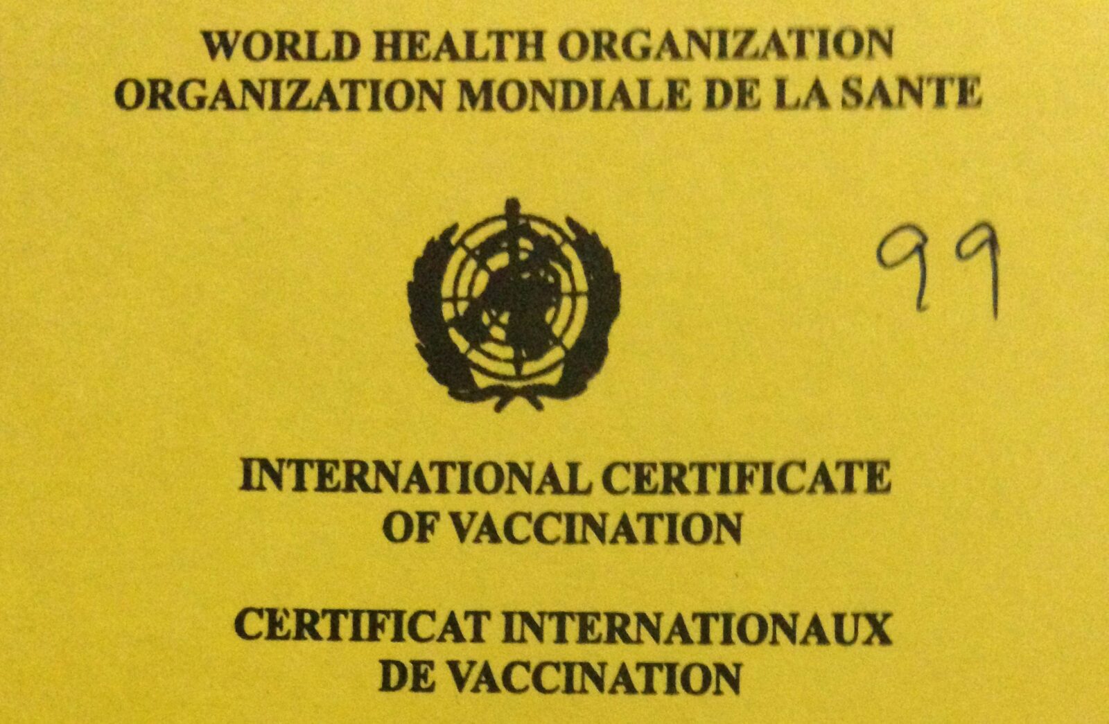 Gorilla Safari Yellow Fever Certificate