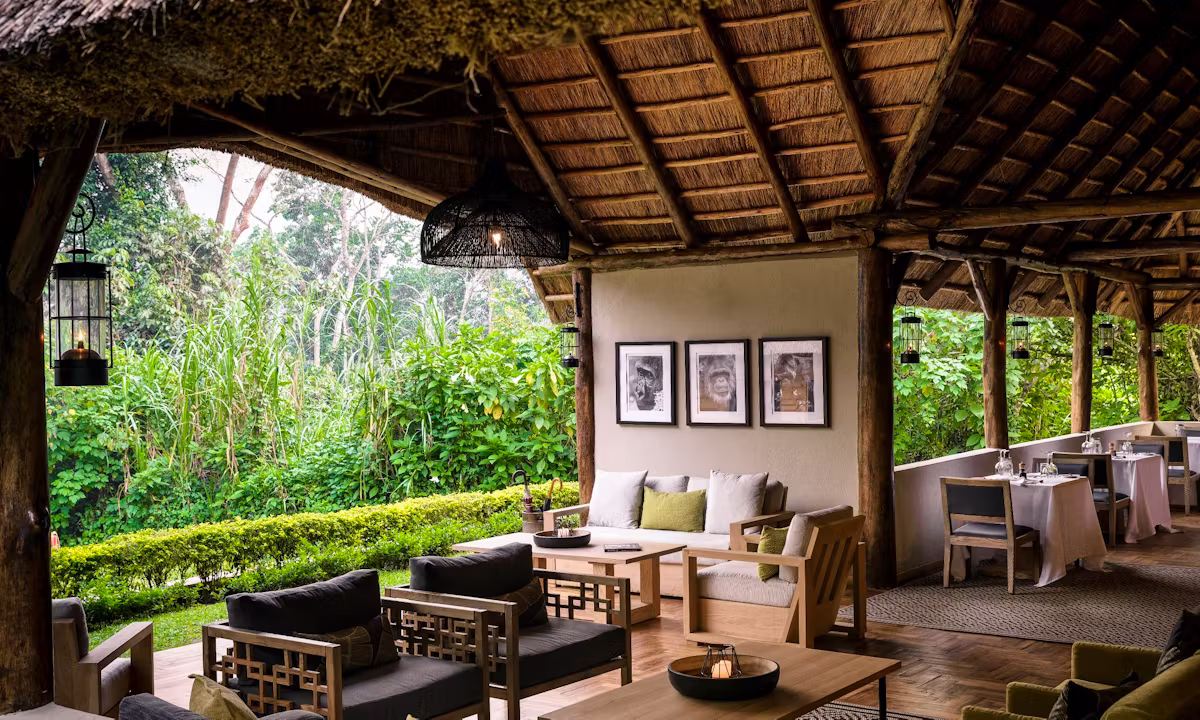 Mid-Range Gorilla Safari Lodges Uganda