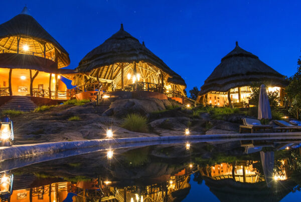 Mid-Range Gorilla Safari Lodges Uganda