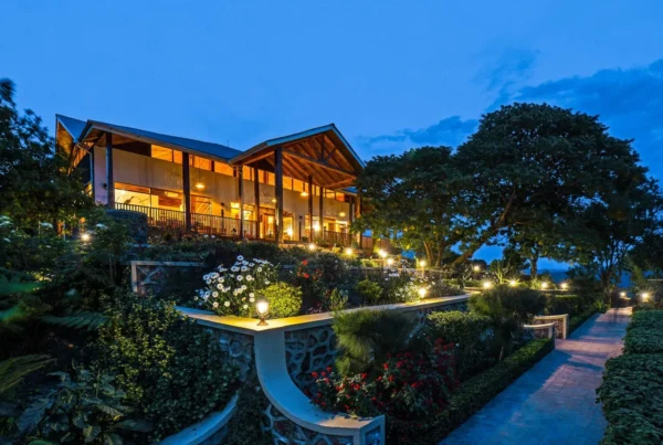 New Gorilla Safari Lodges Opening in 2025 and 2026