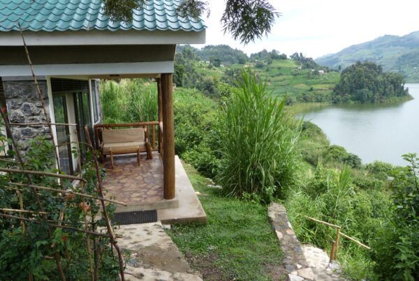 Gorilla Safaris Camp vs Lodge
