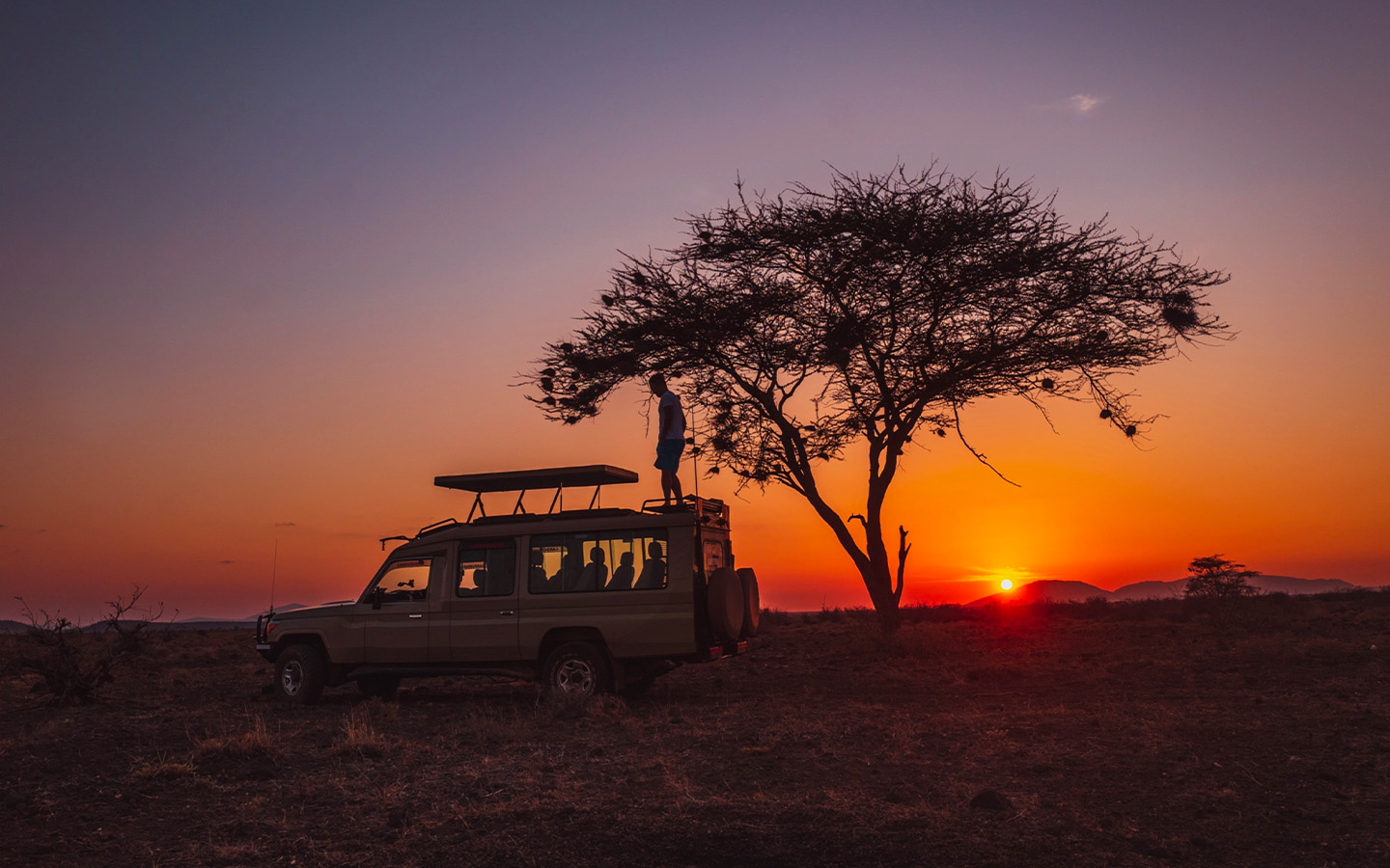 Game Drive in Queen Elizabeth: What Animals You’re Likely to See