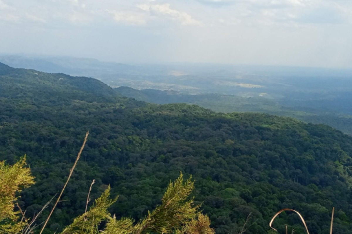 Maramagambo Forest: Bat Caves and Primates in Queen Elizabeth NP