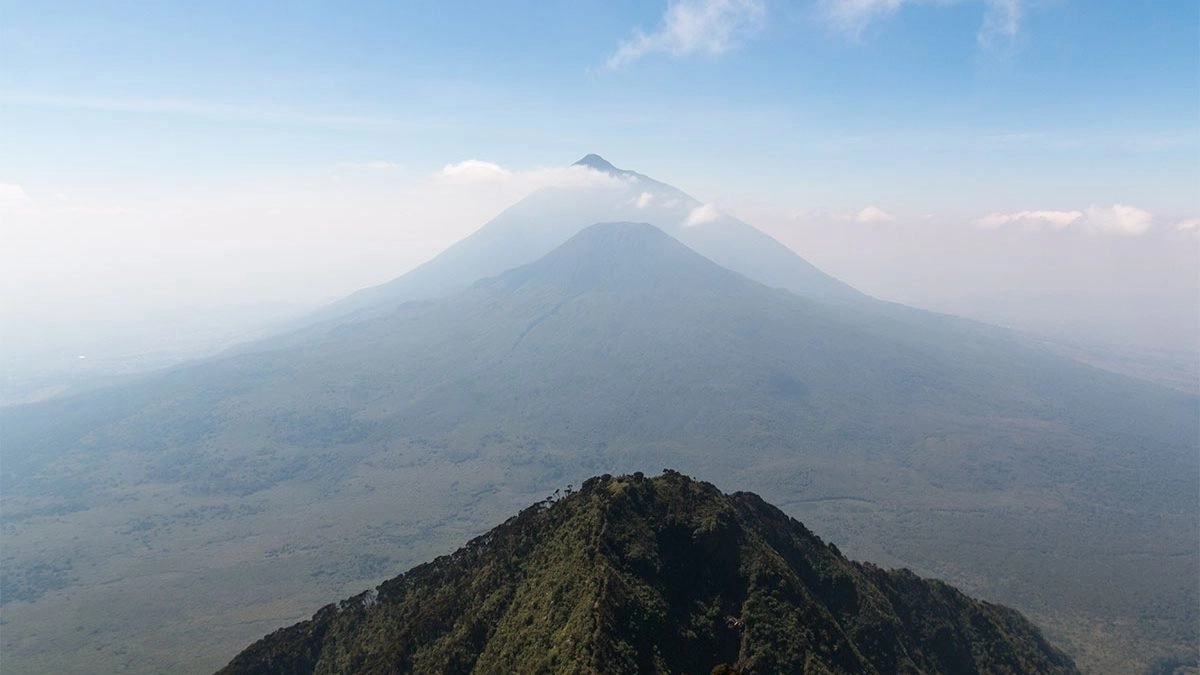 Mount Muhavura Hike: Combining Trekking and Gorillas in Mgahinga