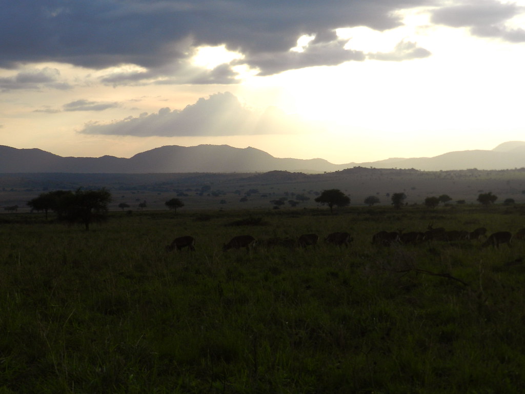 Karamoja Culture: Visiting the Karimojong People Near Kidepo