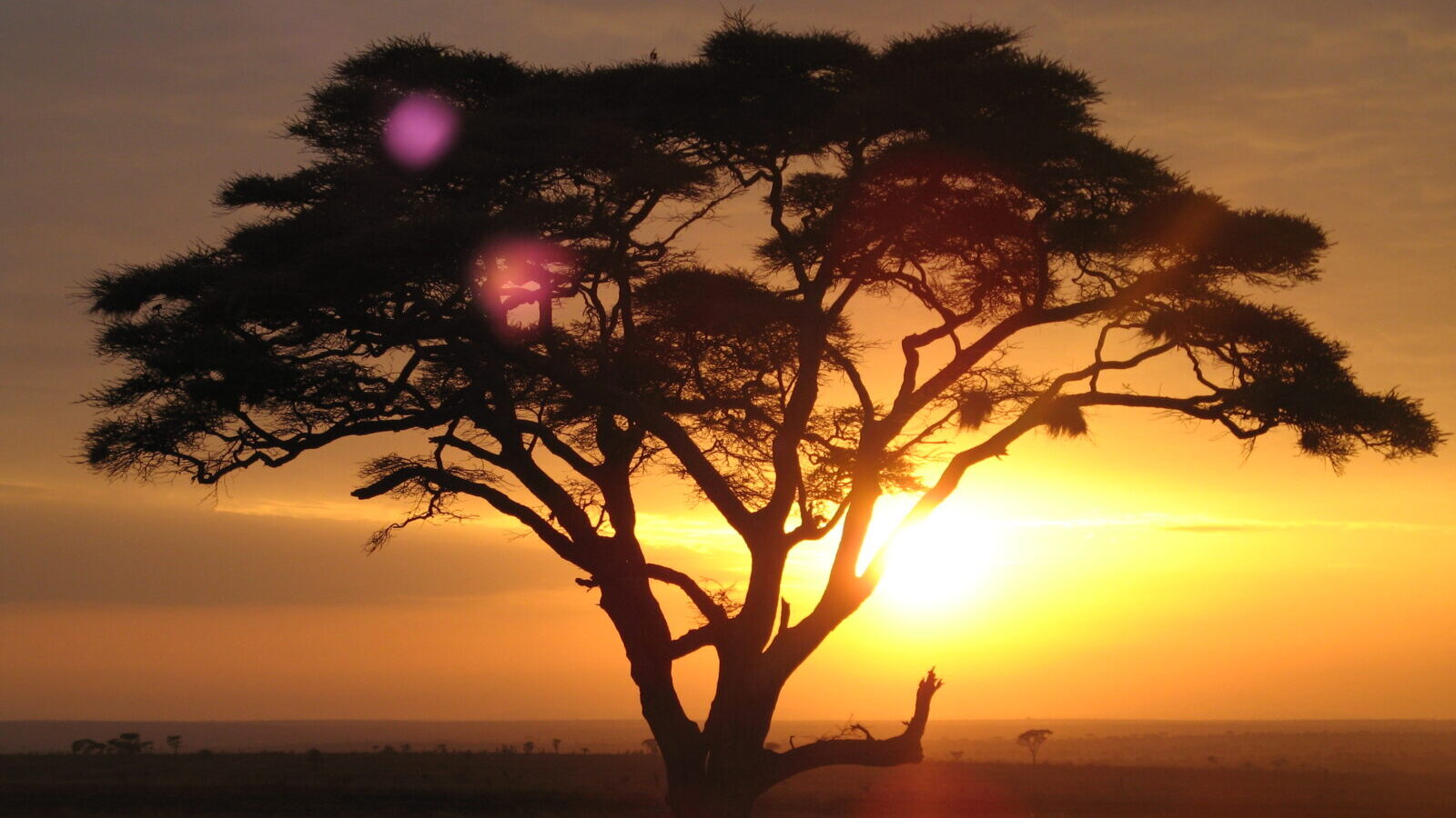 9-Day East Africa Complete Package