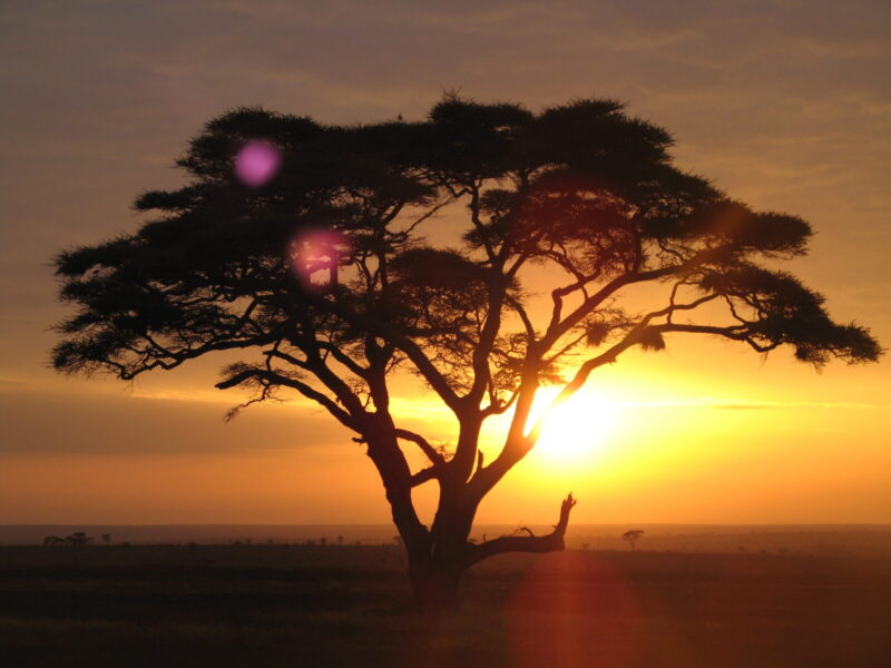 9-Day East Africa Complete Package