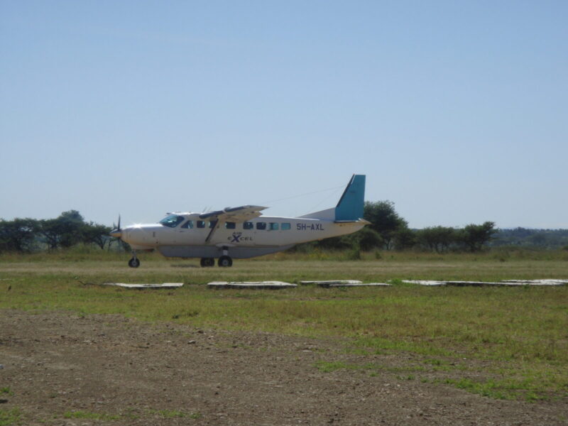 Luxury Gorilla and Migration Combined Safari