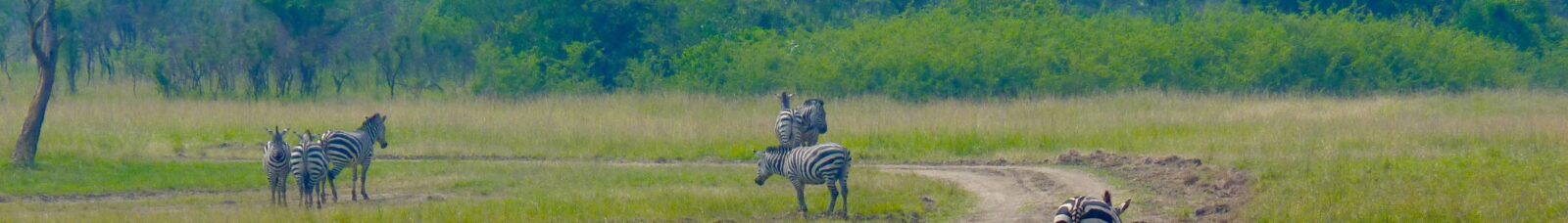 12-Day East Africa Wilderness Trail Package
