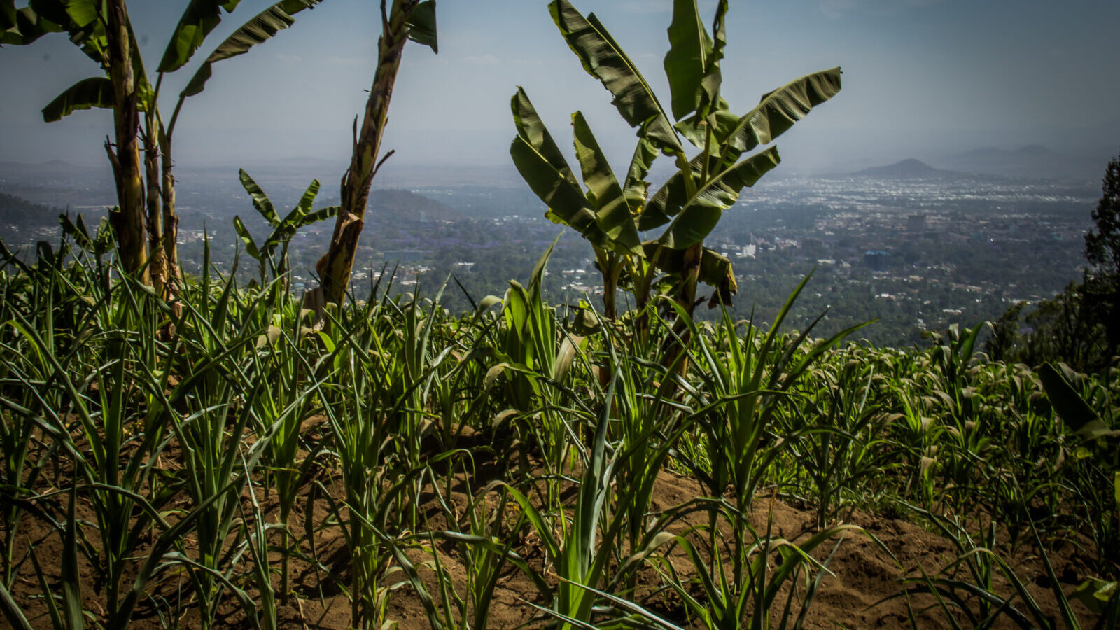 5-Day Rwanda Volcanoes and Lakes Safari