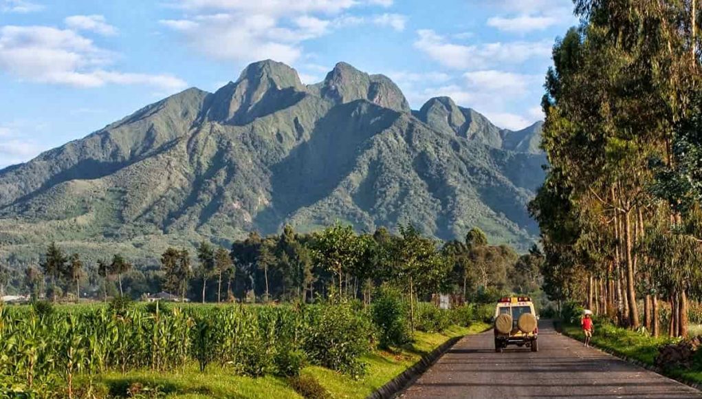 Best Time to Visit Rwanda: Seasons, Rainfall & Gorilla Trekking Timing