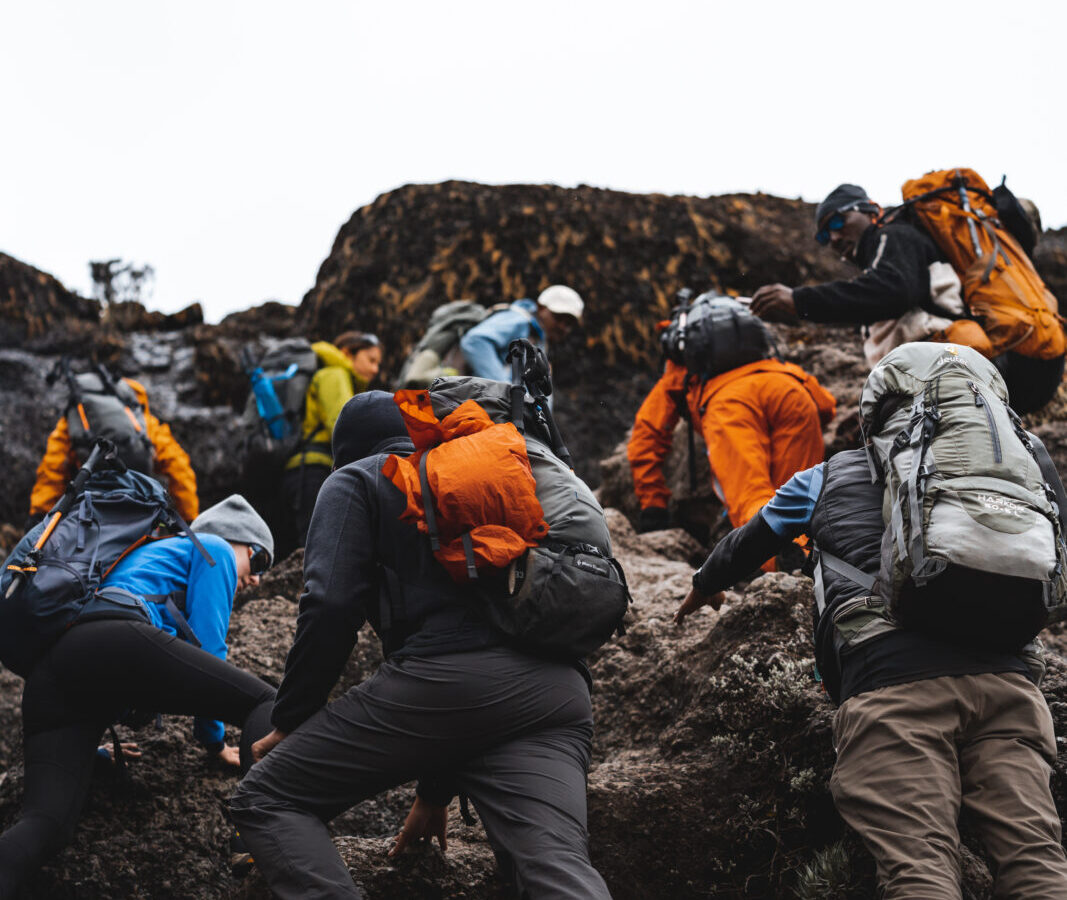 7-Day Kilimanjaro Climb, Machame Route