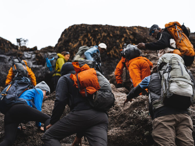 7-Day Kilimanjaro Climb, Machame Route