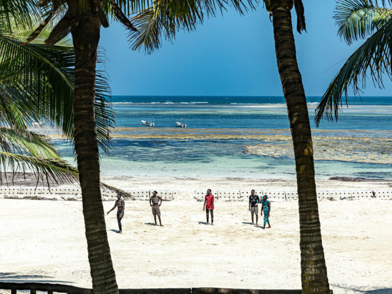 12-Day Signature East Africa Safari: Big Five, Primates and Beach