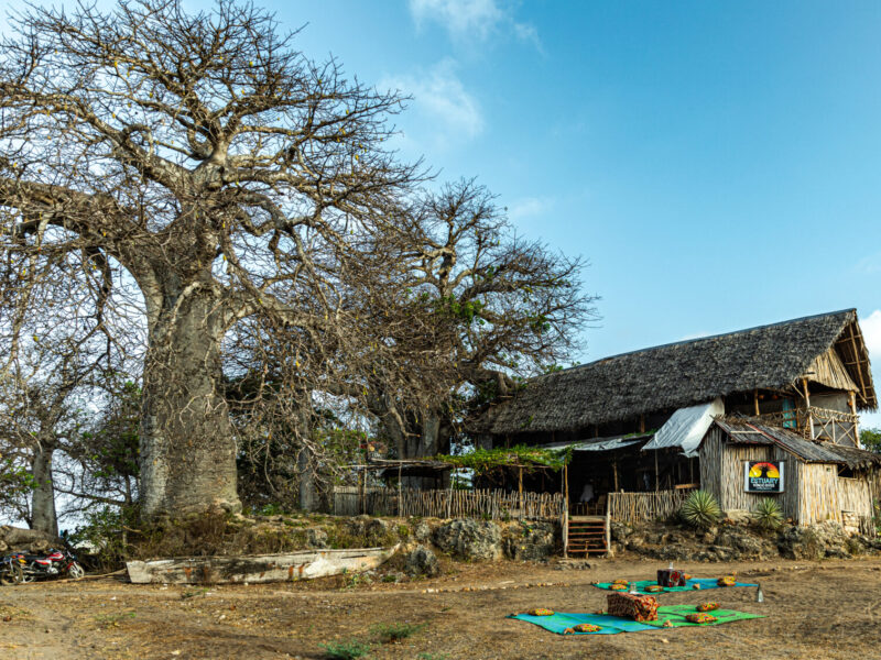 5-Day Pemba and Zanzibar Island-Hopping Package