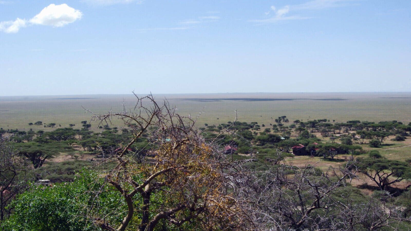 Budget Group Safari, Maasai Mara and Serengeti