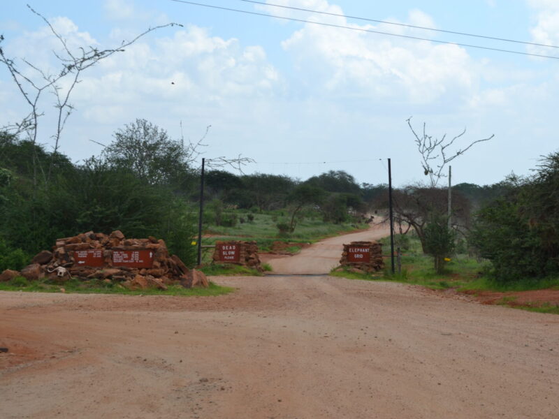 8-Day Kenya Big Five Safari