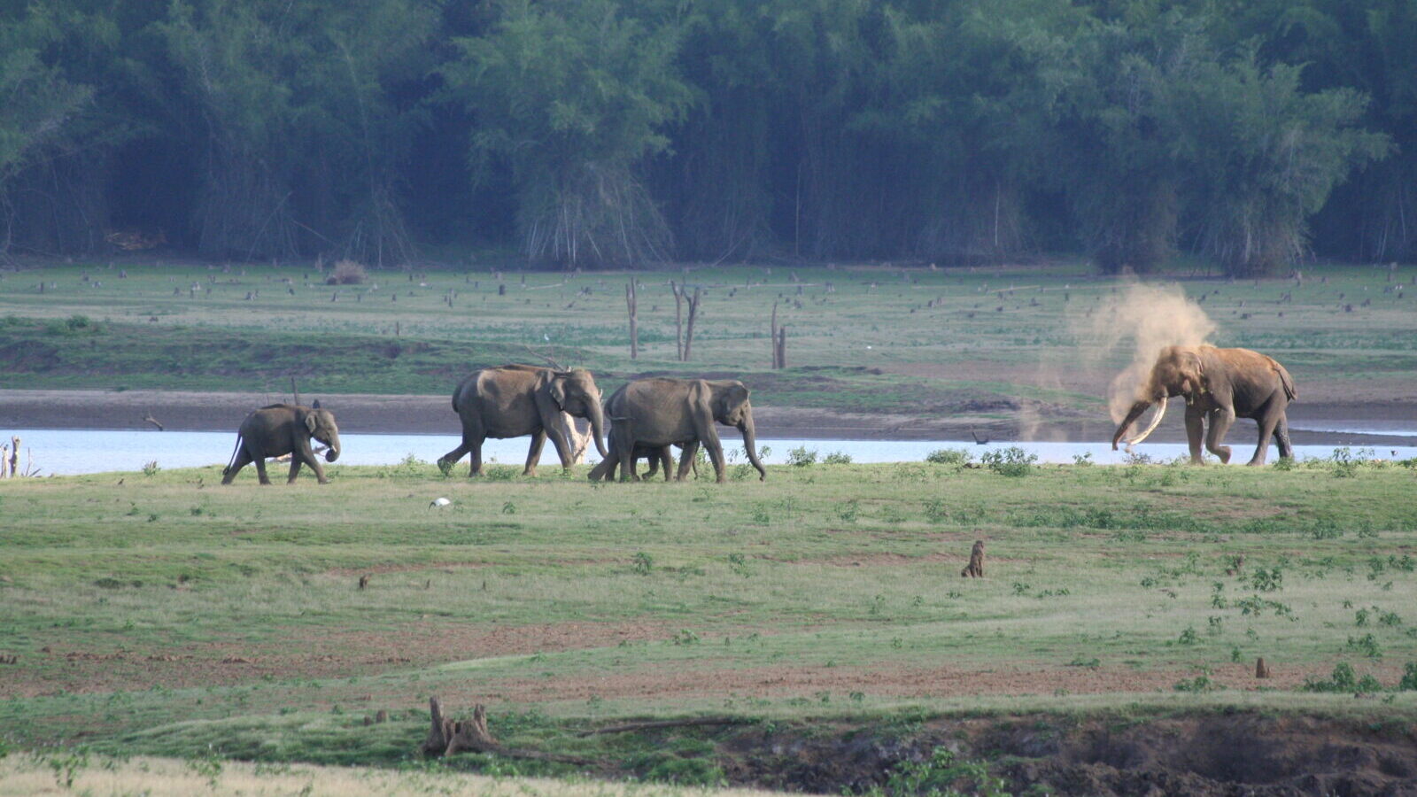 Family-Friendly Tanzania Safari Package