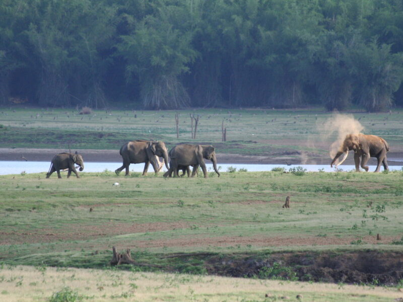 Family-Friendly Tanzania Safari Package